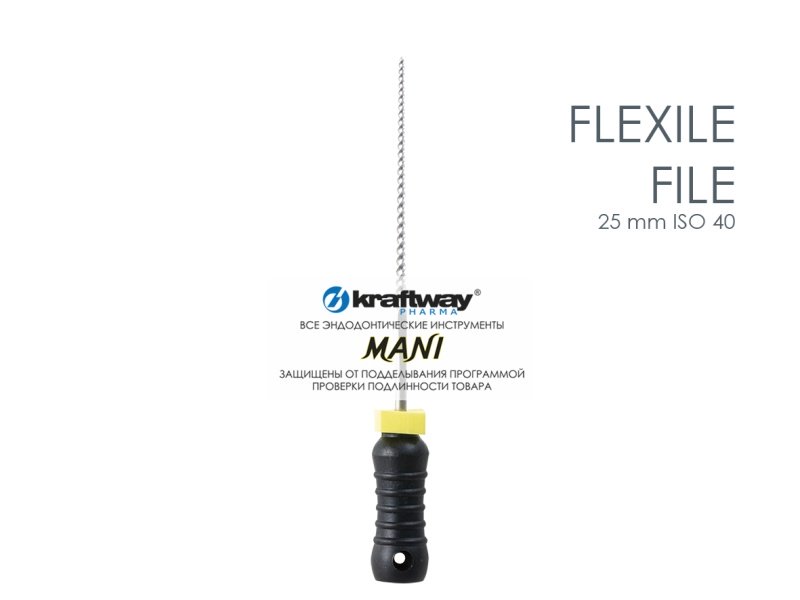 Flexile Files, Mani, 25мм, ISO-40 (6шт.)