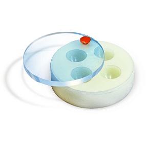 mhrhe0hn3d4daalexwq1p2nrj1ttn0ox