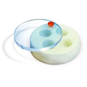 mhrhe0hn3d4daalexwq1p2nrj1ttn0ox