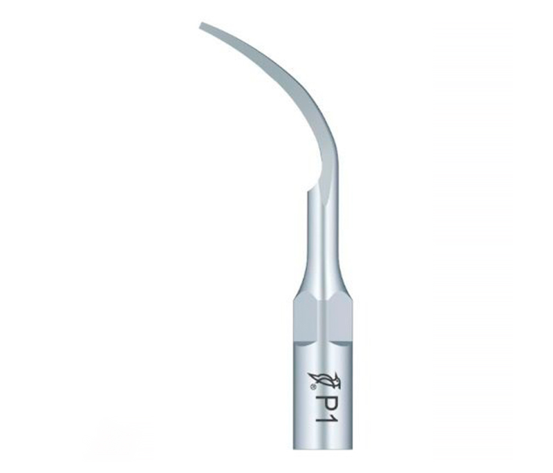 Насадка для скалера Woodpecker P1 (1шт.)