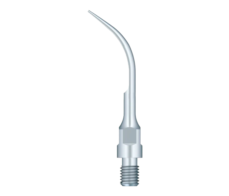 Насадка для скалера Woodpecker GS5 (1шт.)