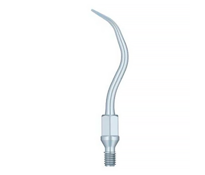 Насадка для скалера Woodpecker GS2 (1шт.)